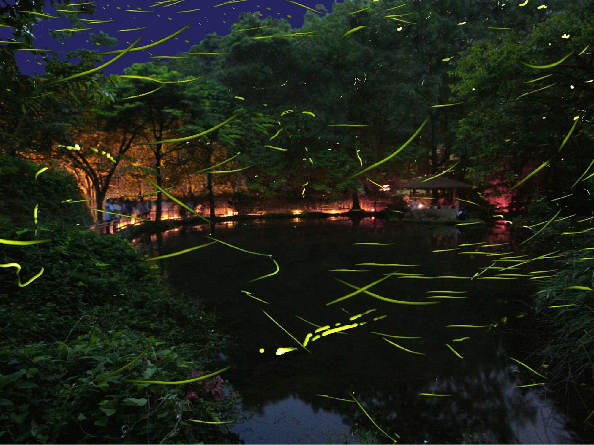 Hotel Izu Katase Onsen Ayumitei Fukumatsuso Higashiizu Zewnętrze zdjęcie